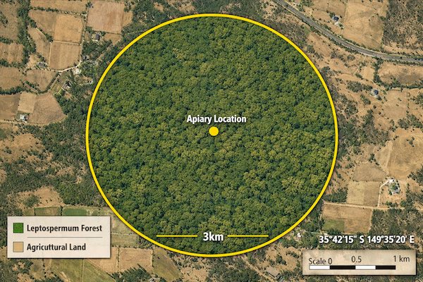 Satellite topographical map showing a 3km gold radius circle centered on an apiary location with forest interior and agricultural exterior